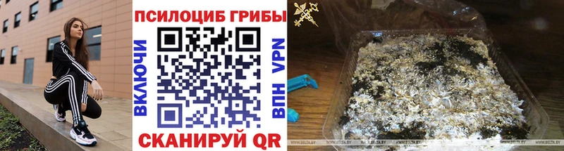 Галлюциногенные грибы прущие грибы Великий Устюг